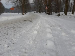 Ice, Snow, Strong Winds Will Affect Most of The Czech Republic Over The Weekend