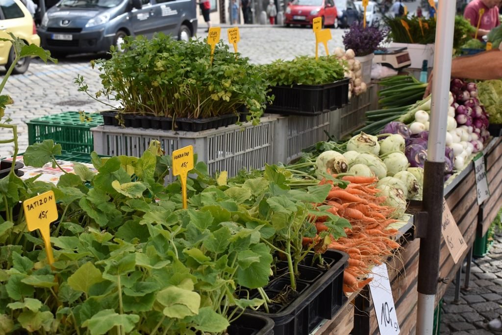 To The Farmers’ Market! September Is The Month of Local Products In and Around Brno - Brno Daily