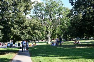 Three Subsidy Programs To Revitalize Brno Public Green Spaces In 2022