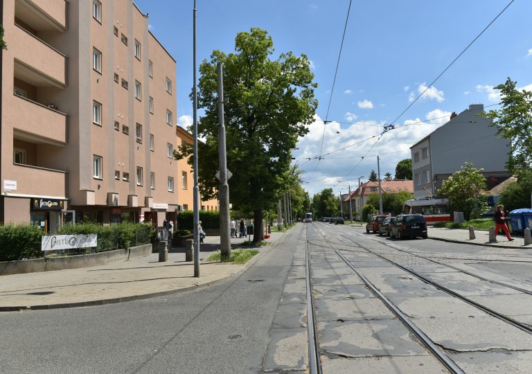 LESNICKA