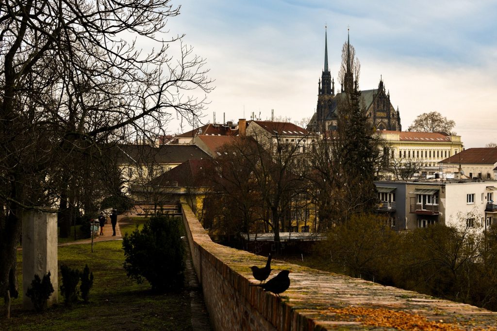 Czech Population Rose in 2022, Despite Lowest Number of Newborn Children Since 2004 Czech Population Rose in 2022, Despite Lowest Number of Newborn Children Since 2004