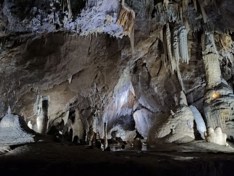 A Natural Wonder Near Brno: Punkva Caves and Macocha – Brno Daily