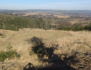 Czech Forests No Longer The Lungs of The Country, As Carbon Disappears From The Soil