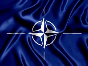 Český Senát velkou většinou schválil vstup Finska a Švédska do NATO