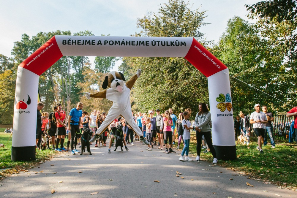 Sunday Fun Run in Brno má za cíl vybrat peníze pro psí a kočičí útulky – Brněnský deník