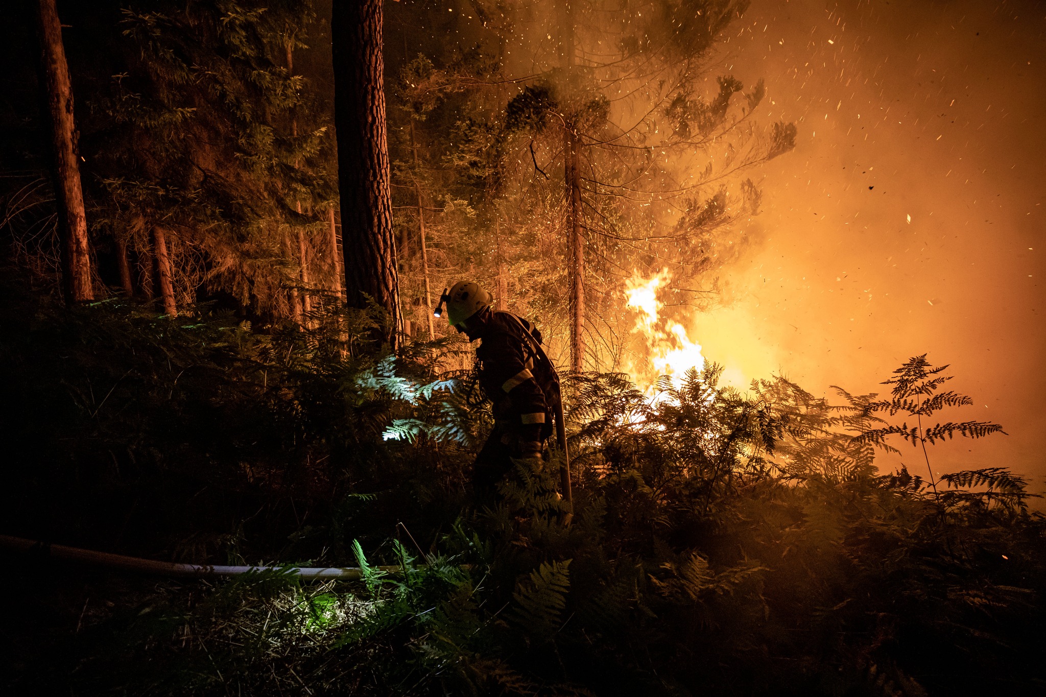 Na jednotky, které zasahovaly u lesních požárů v Hřensku – Brně, vláda vyčleňuje 225 milionů korun denně.