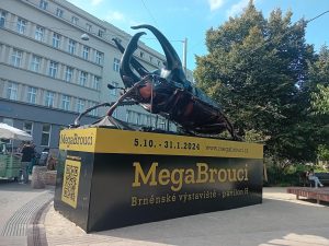 Mega Beetles Exhibition Brings The Fascinating World of Insects To Brno