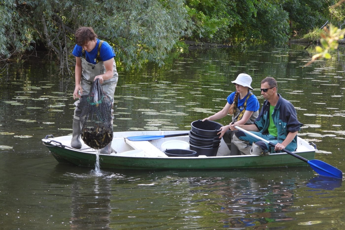Scientists Cooperate On Reducing The Damage Of Invasive Black Catfish ...