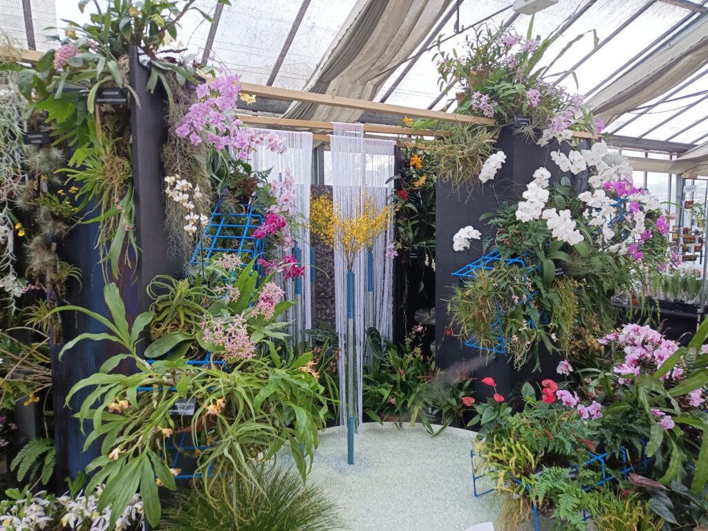 MENDELU’s Award-Winning Orchids and Tropical Butterflies To Go On Display in Brno