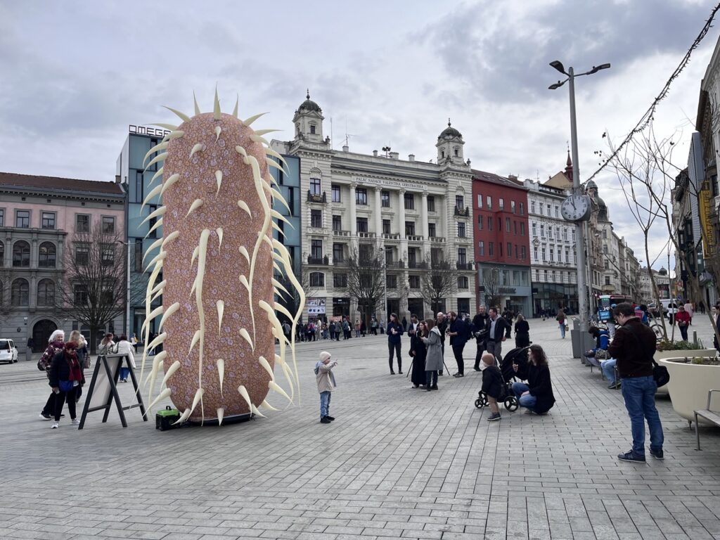 Brno’s Days of Electron Microscopy Start Today