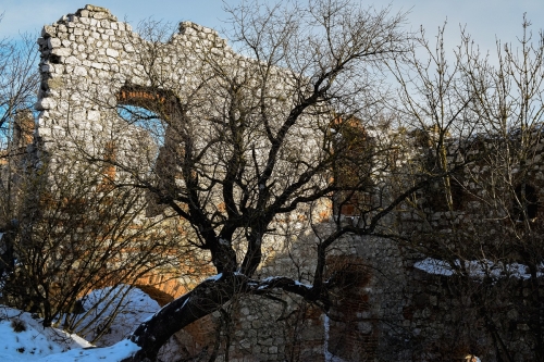 devicky-castle-Pavlov-ruins-credit-KB-BD (9)